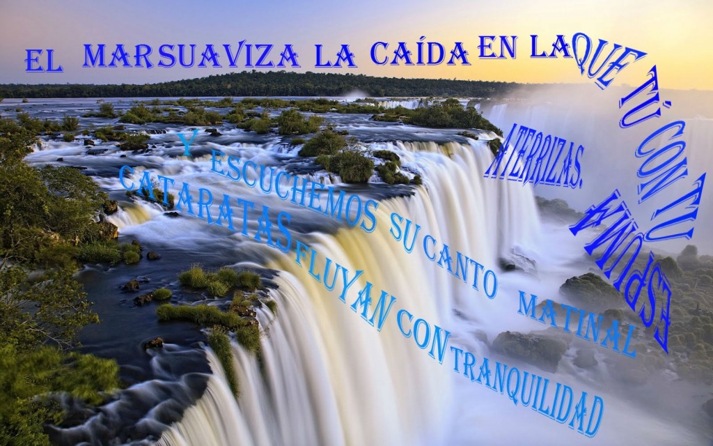 Caligrama_Vera (1)