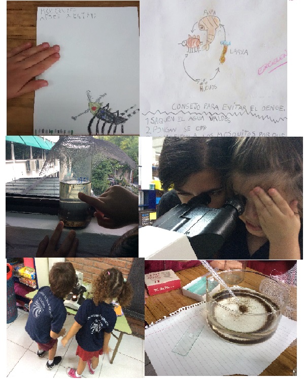 primer ciclo