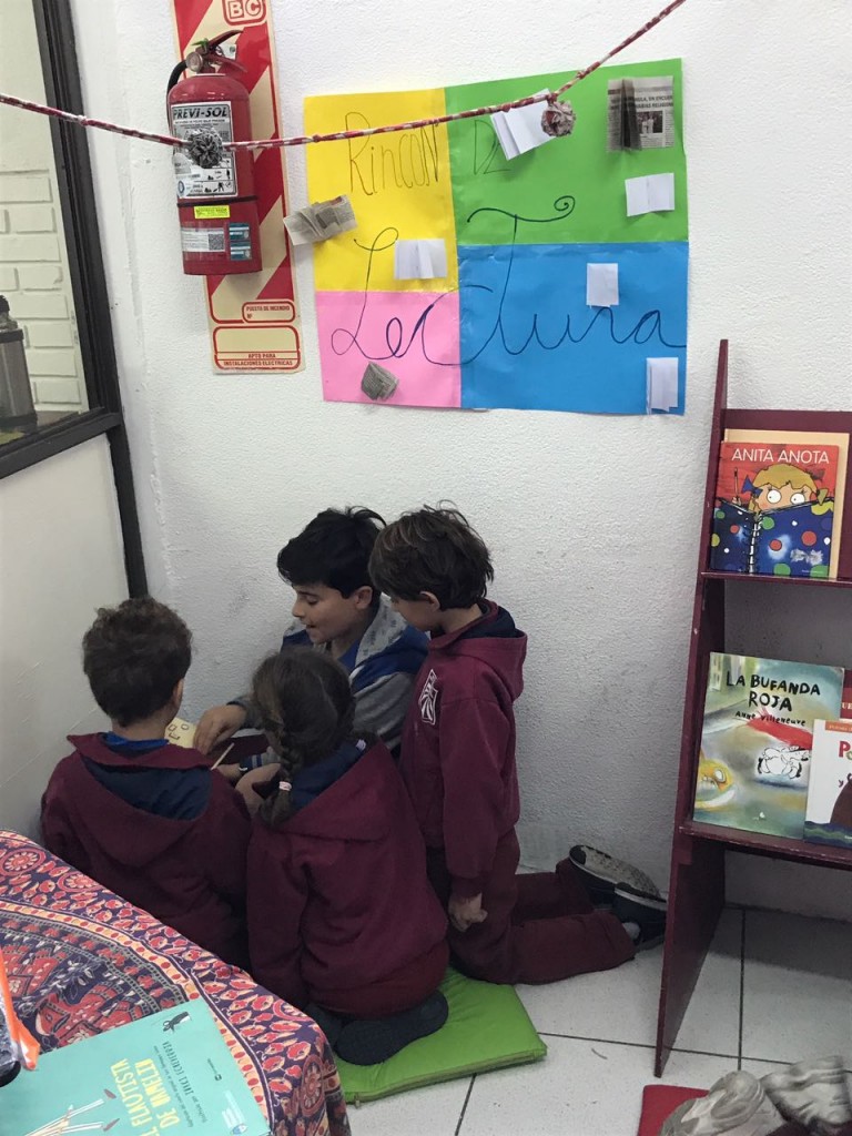 rincon de lectura6